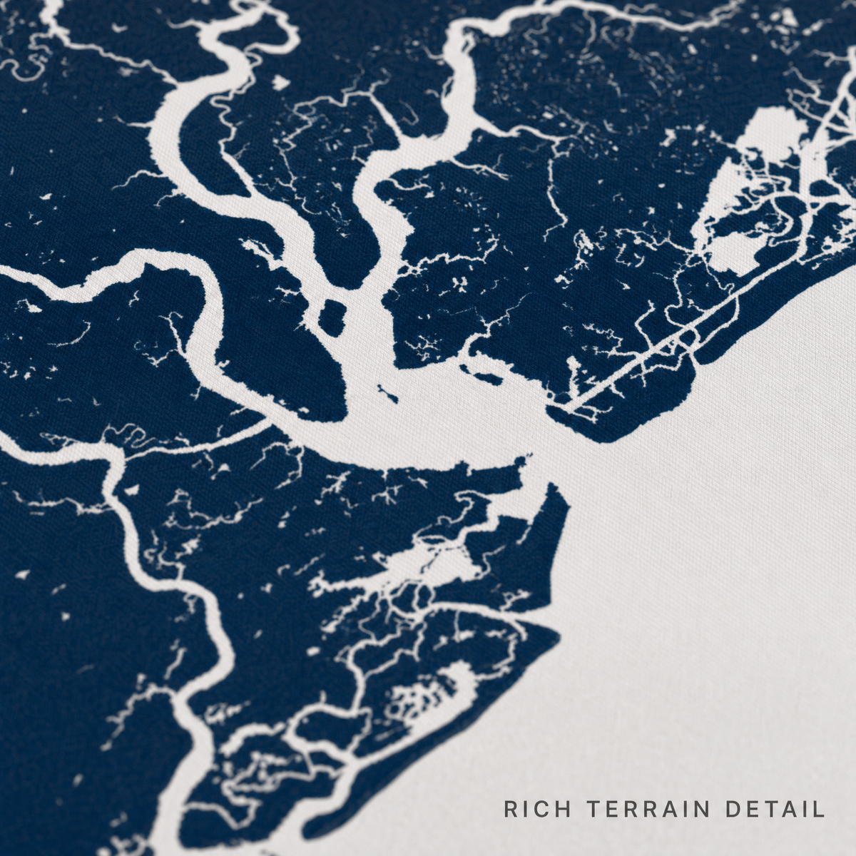 Charleston canvas map — rich terrain detail