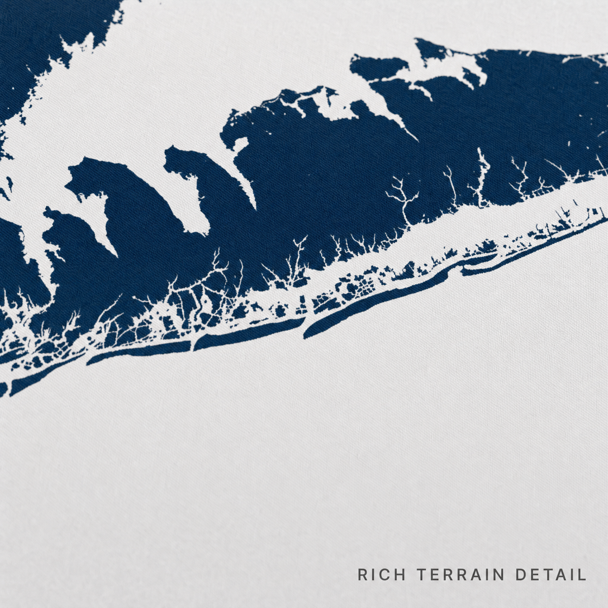 Fire Island canvas map — rich terrain detail