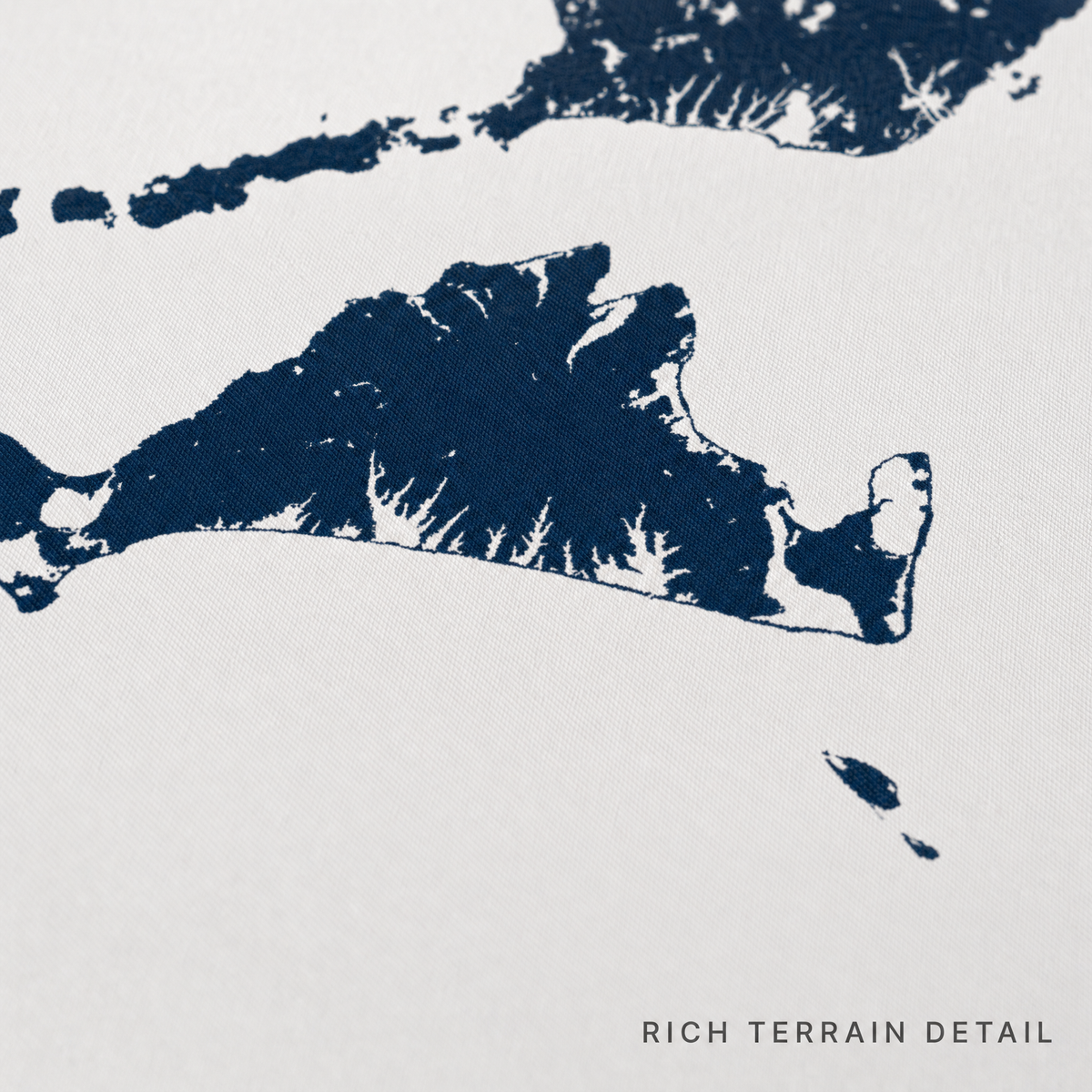 Martha's Vineyard canvas map — rich terrain detail