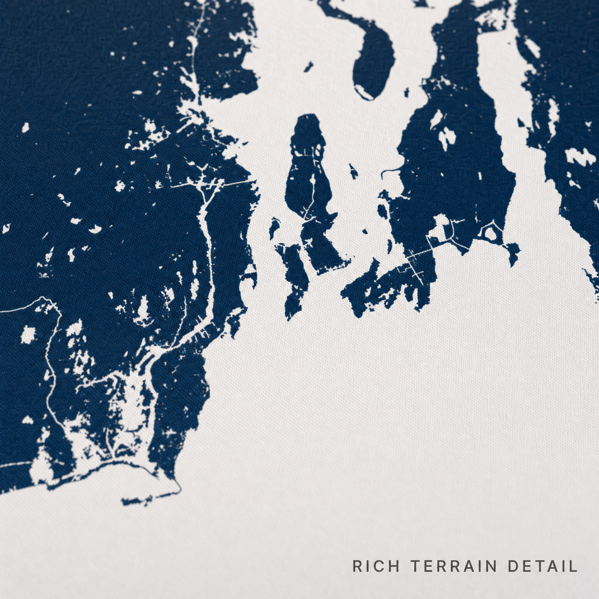 Newport canvas map — rich terrain detail