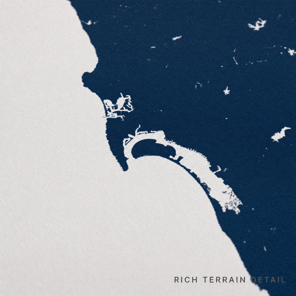 San Diego Coast canvas map — rich terrain detail